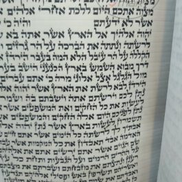 קלף ספר תורה מהודר גודל 56 שנכתב על ידי הסופר ר' יוסף רפאל עסיס