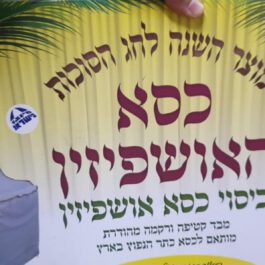 כיסוי כסא האושפיזין לחג הסוכות צבע לבן