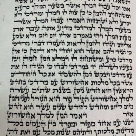 מגילת אסתר מהודרת הכתב ספרדי 21 ס"מ עם בית מגילה מפואר
