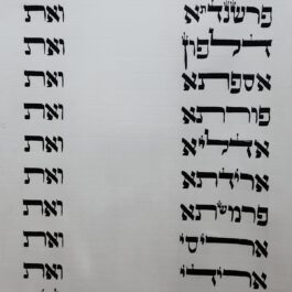 מגילת אסתר המלך 21 שורות מהודר
כולל בית מגילה – ספרדי –