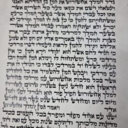 מגילת אסתר המלך 21 שורות מהודר
כולל בית מגילה – ספרדי –