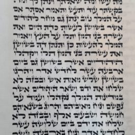 מגילת אסתר כתב ארי  28 שורות כולל בית מגילה מהודר