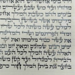 מגילת אסתר מהודרת 11 שורות כתב ספרדי קלף 15 ס.מ
