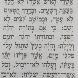 תהילים מחולק עבודה שבלב